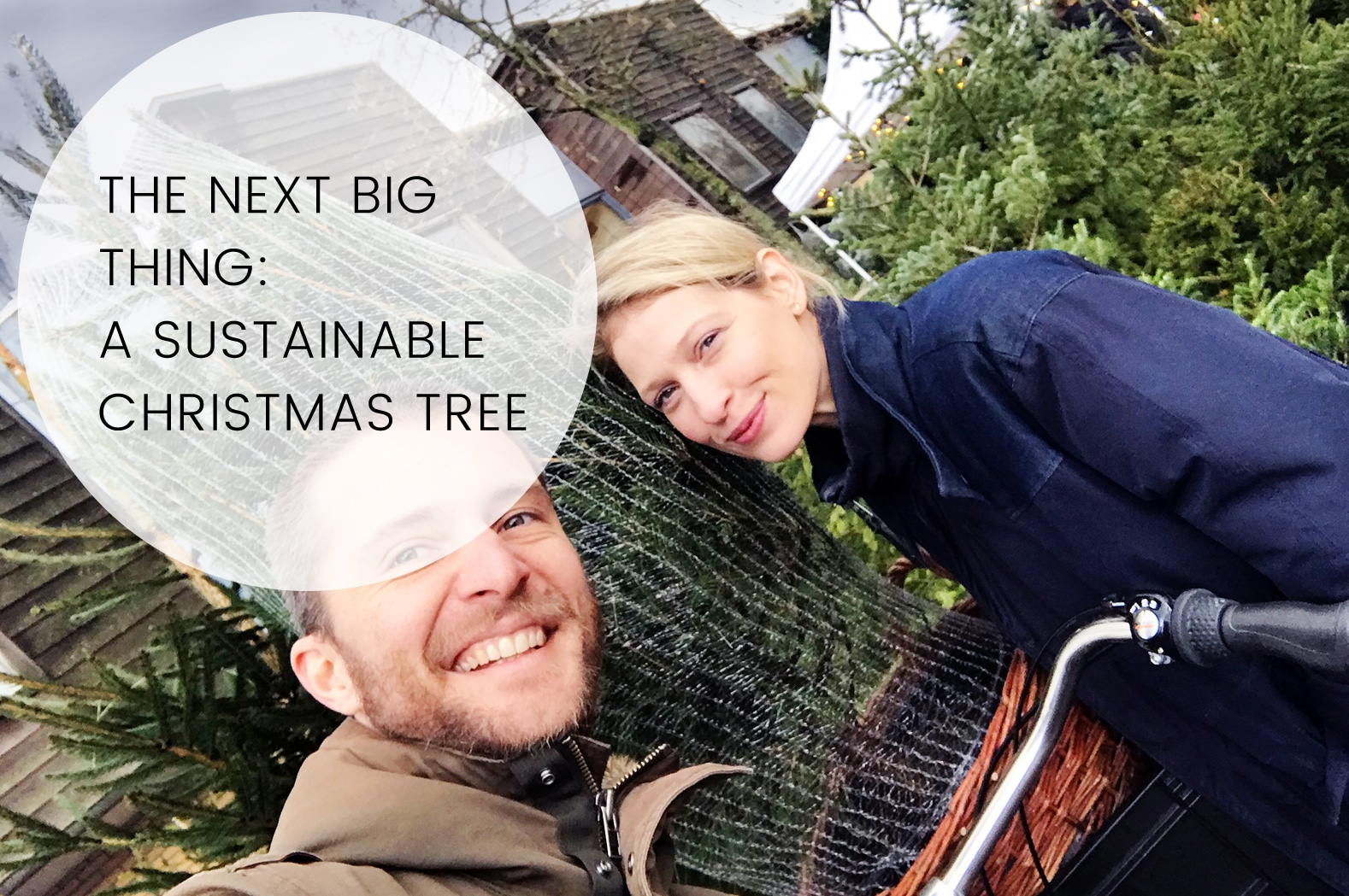 THE NEXT BIG THING: A SUSTAINABLE CHRISTMAS TREE