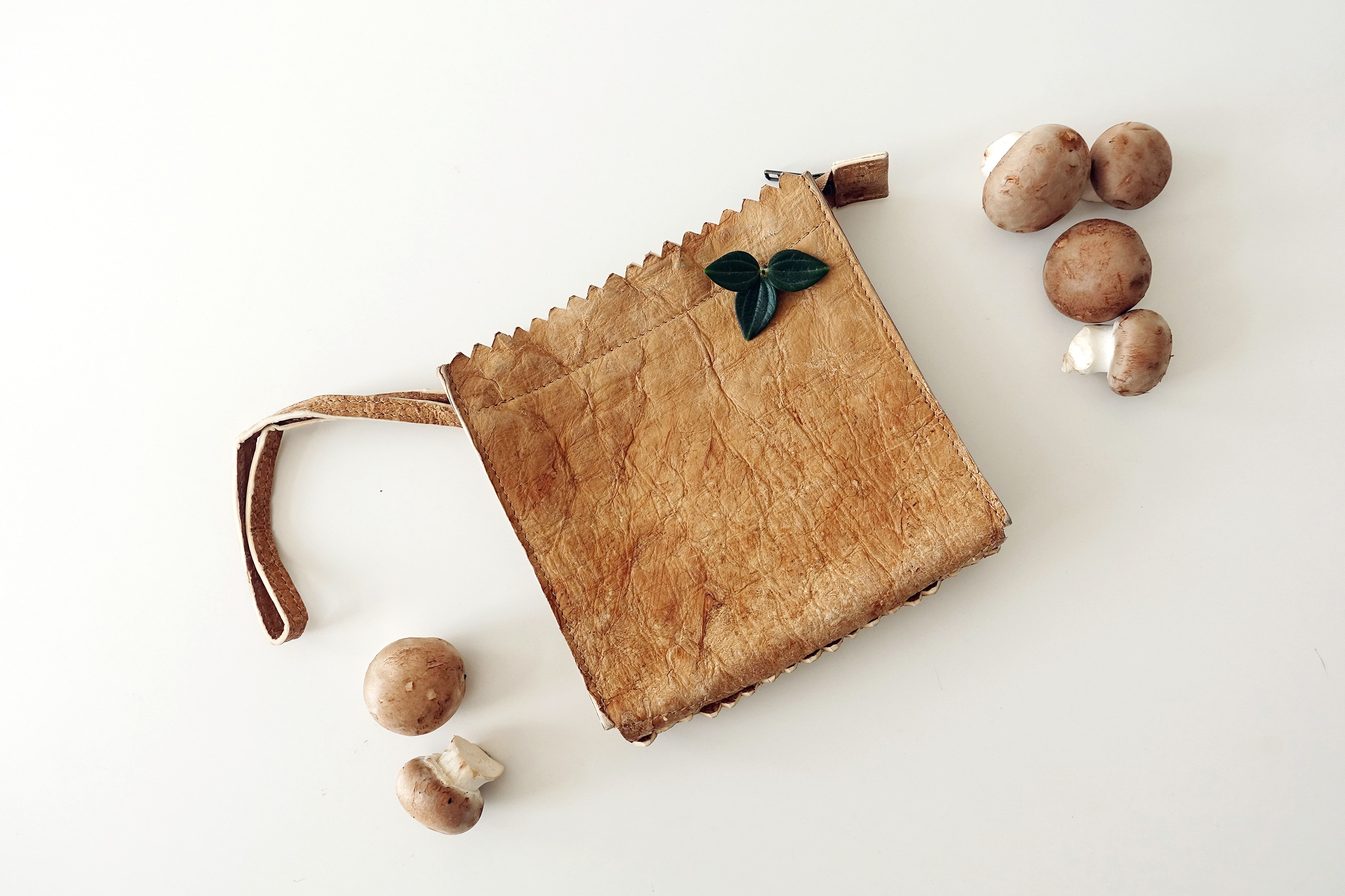 MYOMY mycelium bag